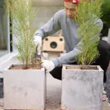 Betonowe donice DIY: Kompletny poradnik. Uniknij błędów!