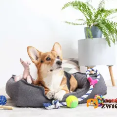 Jak zrobić bezpieczną zabawkę dla psa z butelki? Poradnik DIY